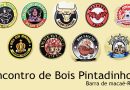 Encontro de Bois Pintadinhos – Barra de Macaé – RJ